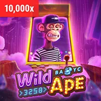 Hình ảnh minh họa các nguyên tắc chung khi chơi tại 33win9